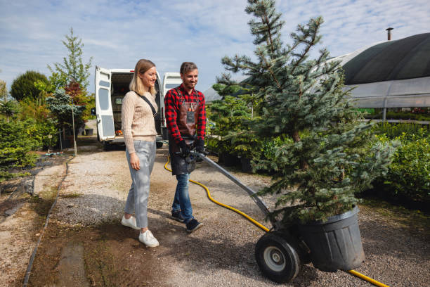 Best Stump Grinding Near Me  in Evergreen, MT